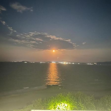 Studio Festival Pomorie Bagian luar foto