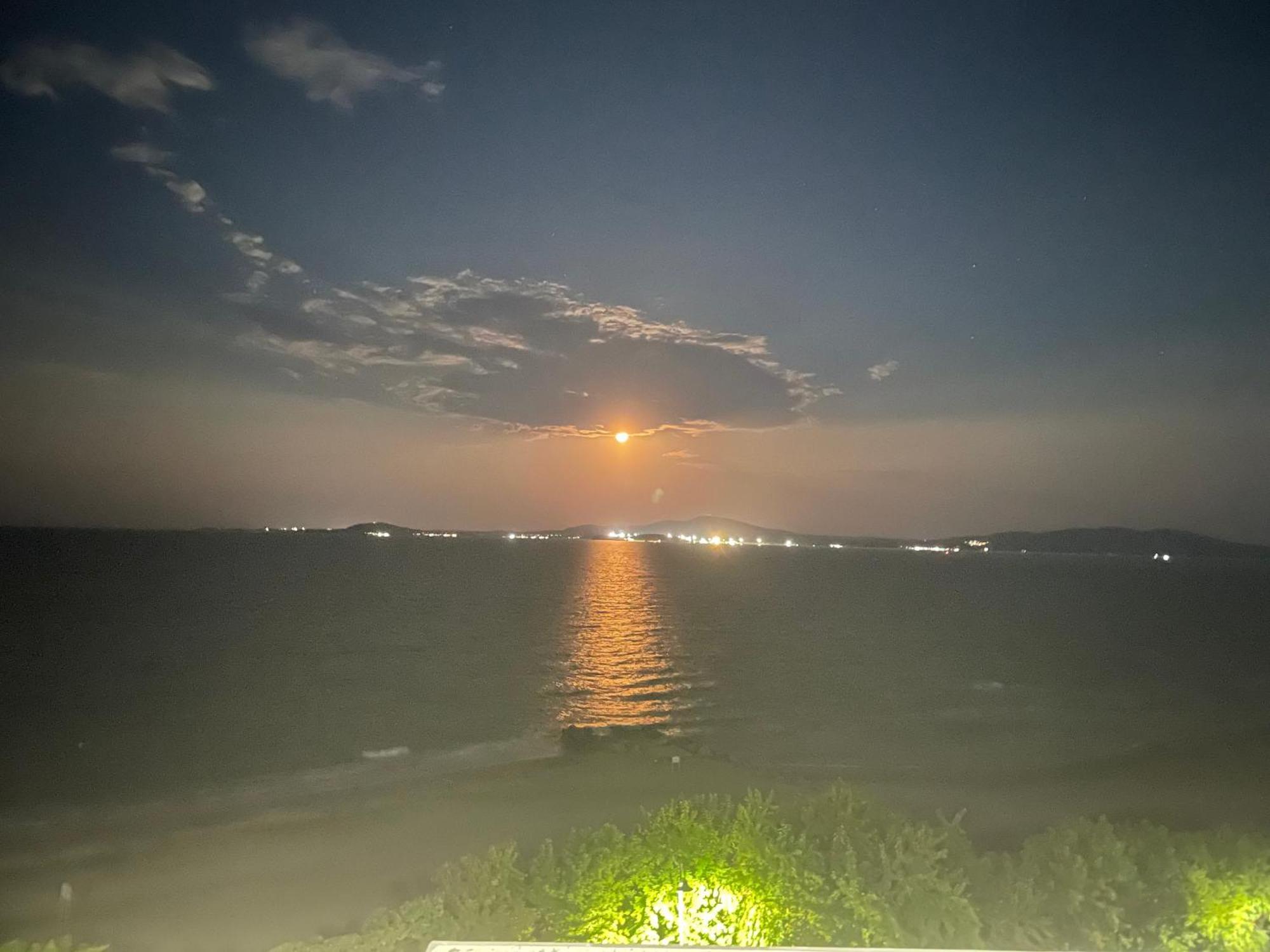 Studio Festival Pomorie Bagian luar foto